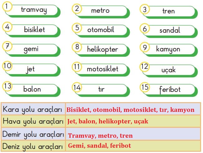 2. Sınıf Hayat Bilgisi MEB. Yayınları Sayfa 146. Cevapları