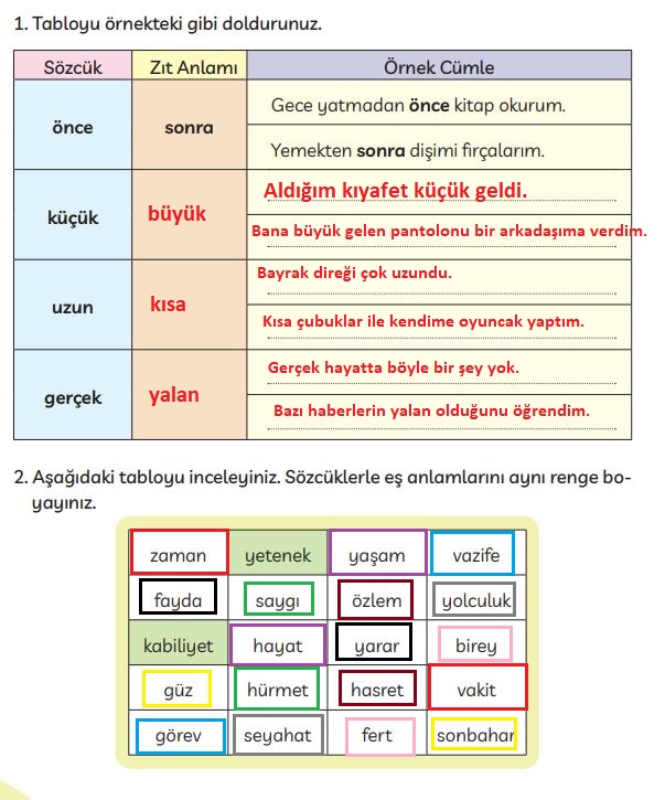 3. sınıf Meb yayınları Türkçe ders kitabı cevapları sayfa 246