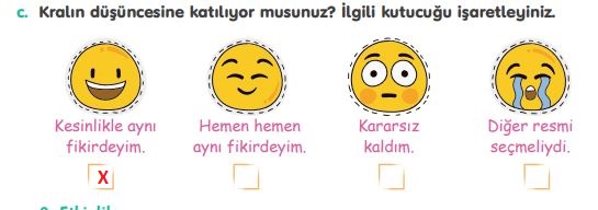 4. Sınıf Tuna Yayınları Türkçe ders kitabı cevapları sayfa 243