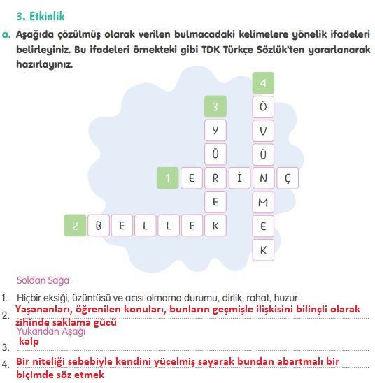 4. Sınıf Tuna Yayınları Türkçe ders kitabı cevapları sayfa 247