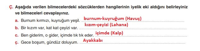 6. sınıf türkçe ders kitabı cevapları sayfa 208-1 yıldırım yayınları