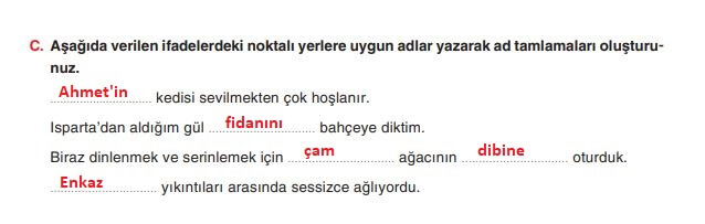 6. sınıf türkçe ders kitabı cevapları sayfa 208 yıldırım yayınları