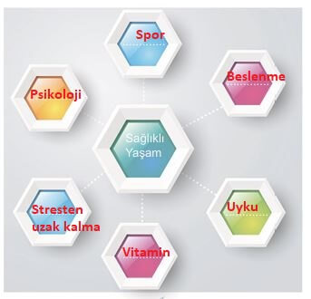 6. sınıf meb yayınları türkçe ders kitabı cevapları sayfa 212