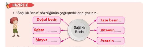 6. sınıf meb yayınları türkçe ders kitabı cevapları sayfa 215