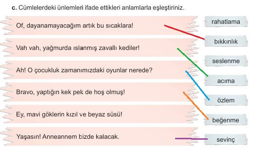 6. sınıf meb yayınları türkçe ders kitabı cevapları sayfa 218