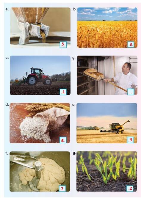 6. sınıf meb yayınları türkçe ders kitabı cevapları sayfa 225