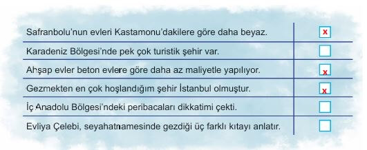 6. sınıf meb yayınları türkçe ders kitabı cevapları sayfa 250