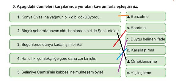 6. sınıf meb yayınları türkçe ders kitabı cevapları sayfa 261