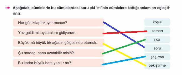 6. sınıf türkçe ders kitabı sayfa 217 cevapları yıldırım yayınları