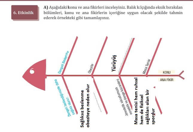 7. sınıf Türkçe ders kitabı 217. sayfa cevapları Meb yayınları