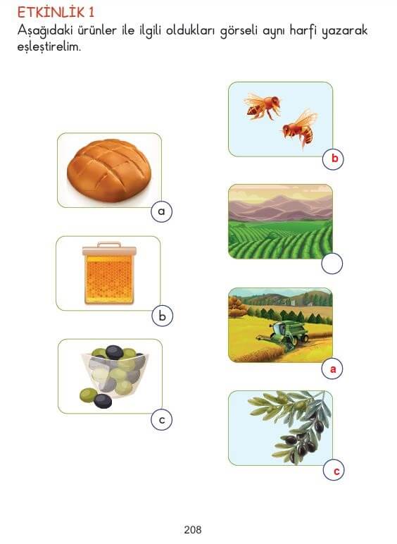2. sınıf hayat bilgisi sayfa 208 cevapları