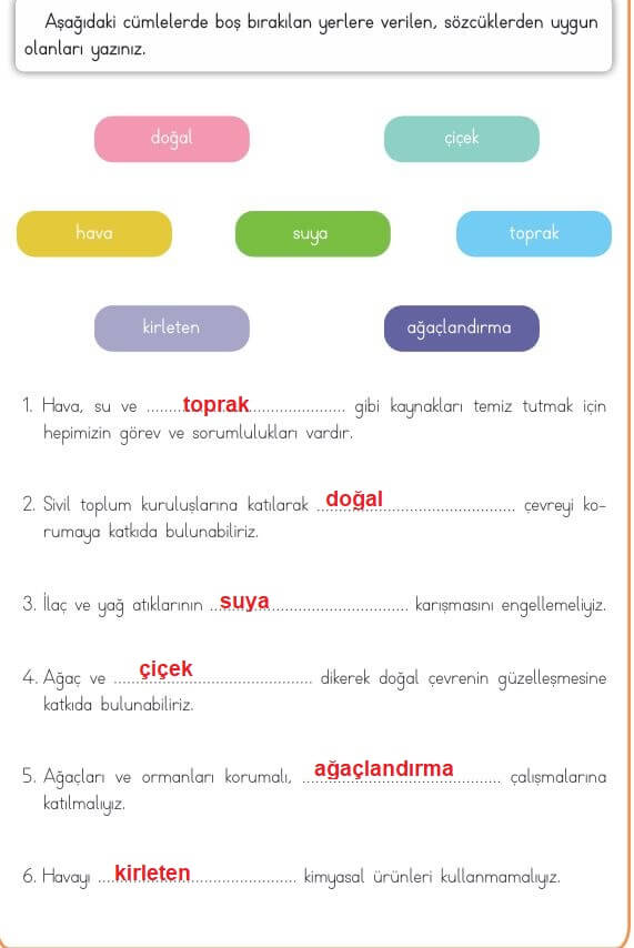 3. sınıf hayat bilgisi 201. sayfa cevapları MEB Yayınları