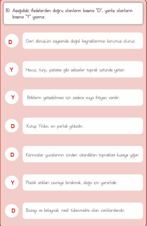 3. sınıf hayat bilgisi 206. sayfa cevapları MEB Yayınları