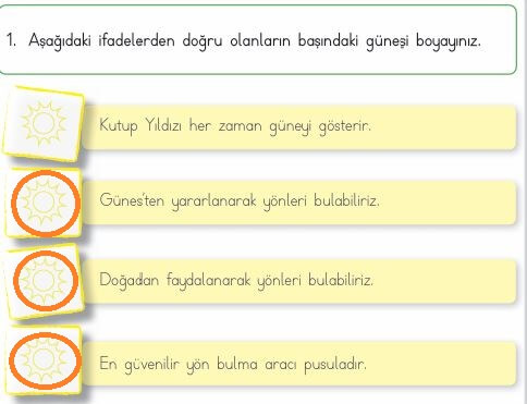 3. sınıf hayat bilgisi 207. sayfa cevapları MEB Yayınları