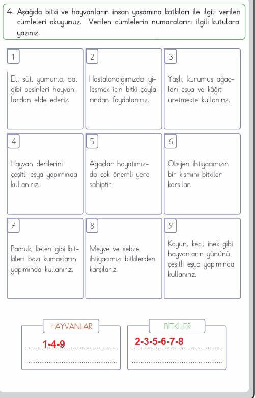 3. sınıf hayat bilgisi 209. sayfa cevapları MEB Yayınları