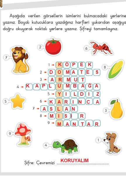 3. sınıf sdr ipekyolu hayat bilgisi sayfa 184 cevapları