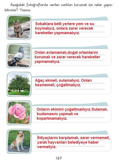 3. sınıf sdr ipekyolu hayat bilgisi sayfa 187 cevapları