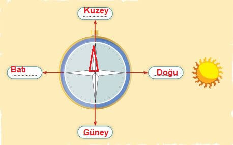 3. sınıf sdr ipekyolu hayat bilgisi sayfa 194 cevapları