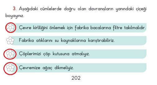 3. sınıf sdr ipekyolu hayat bilgisi sayfa 202 cevapları