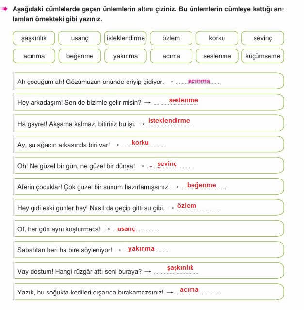 6. sınıf Türkçe sayfa 263 cevapları Yıldırım Yayınları