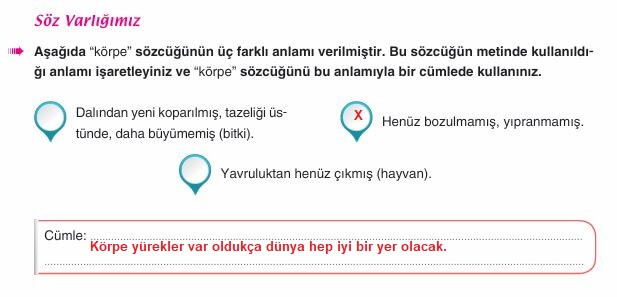 6. sınıf Türkçe sayfa 276 cevapları Yıldırım Yayınları
