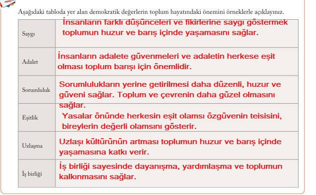 6. sınıf evos yayınları sosyal bilgiler cevapları sayfa 224