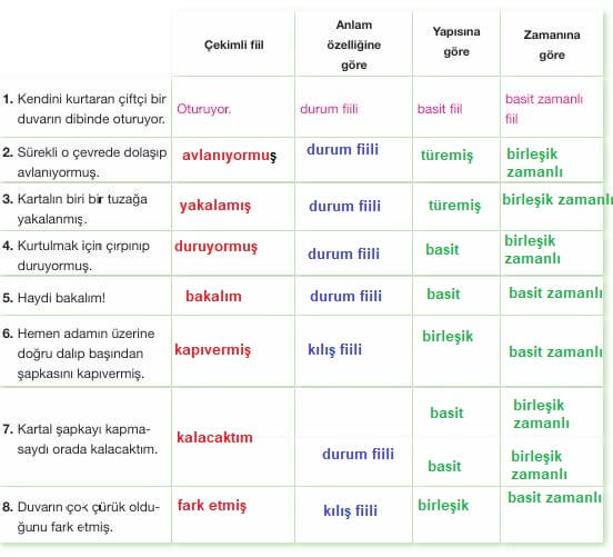 7. sınıf Türkçe 229. sayfa cevapları Özgün yayınları